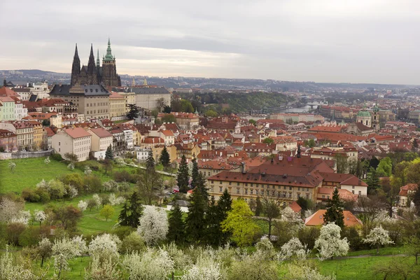 Vue sur le printemps Prague City avec château gothique, vert Nature et arbres à fleurs, République tchèque — Photo
