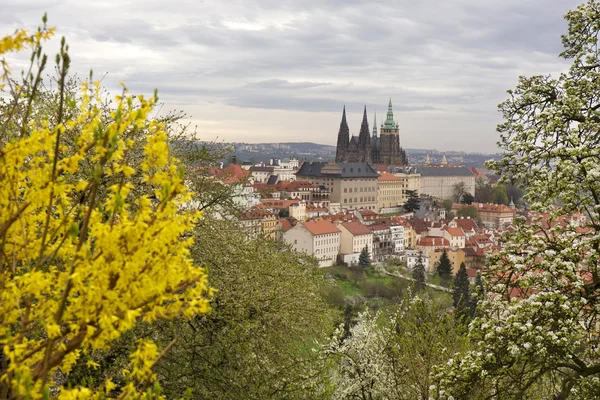 Vista sobre a primavera Praga Cidade com castelo gótico, verde Natureza e árvores floridas, República Checa — Fotografia de Stock