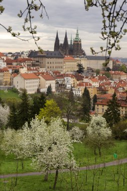 Castle, yeşil doğa ve çiçekli ağaçlar, Çek Cumhuriyeti Gotik yaylı Prag şehir görüntüleyin