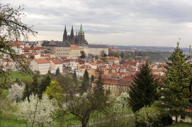Castle, yeşil doğa ve çiçekli ağaçlar, Çek Cumhuriyeti Gotik yaylı Prag şehir görüntüleyin