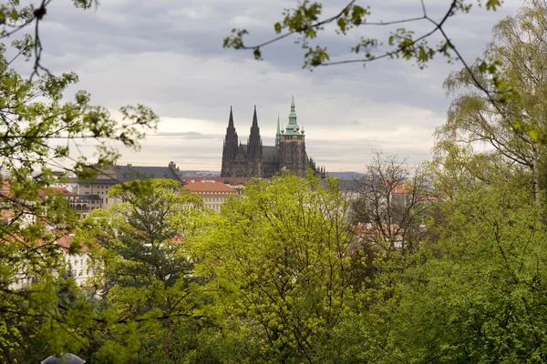 Вид на родник с готическим замком, зеленой природой и цветущими деревьями, Чехия — стоковое фото