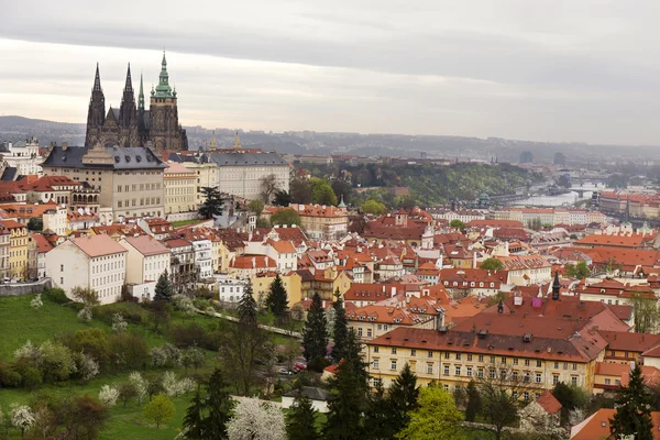 Blick auf die Frühlingsstadt Prag mit gotischer Burg, grüner Natur und blühenden Bäumen, Tschechische Republik — Stockfoto