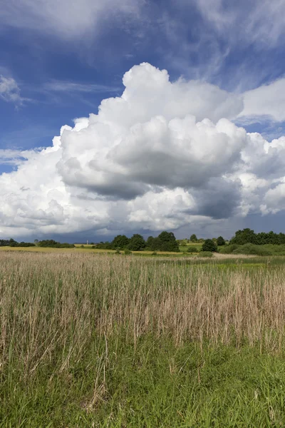 Pasture in the storm summer country Landscape — Stock Photo, Image