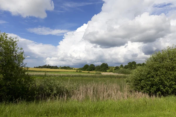 Pasture in the storm summer country Landscape — Stock Photo, Image