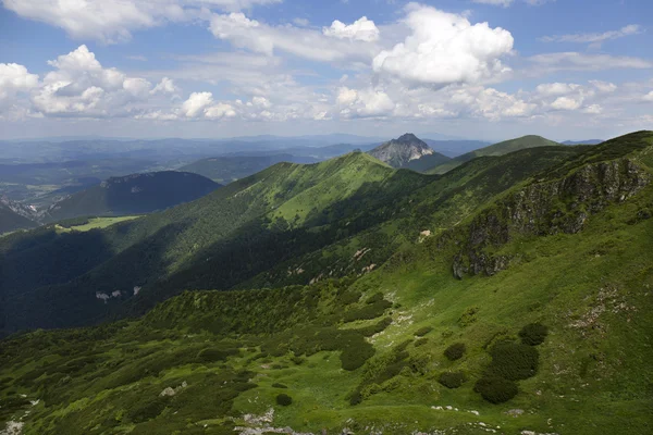 Rozsutec, der hohe Gipfel der kleinen Fatra in der Slowakei — Stockfoto