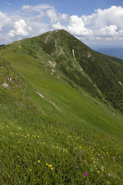 Big Krivan, el pico más alto de las montañas Little Fatra en Eslovaquia —  Fotos de Stock