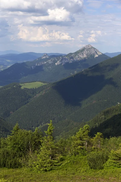 Velký Rozsutec, vysoký vrchol v pohoří Malá Fatra na Slovensku — Stock fotografie