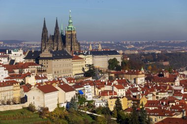 Gotik Şatosu ve Çek Cumhuriyeti 'nin Petrin Tepesi' nden Ağaçlı Renkli Doğası ile Sonbahar Prag Şehri