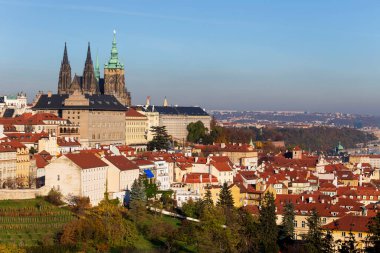 Gotik Şatosu ve Çek Cumhuriyeti 'nin Petrin Tepesi' nden Ağaçlı Renkli Doğası ile Sonbahar Prag Şehri