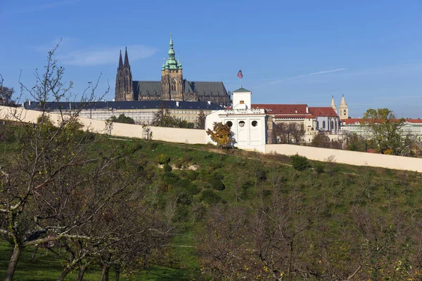 ゴシック様式の城がある秋のプラハ市と チェコ共和国のペトリン丘の木々の色鮮やかな自然 — ストック写真