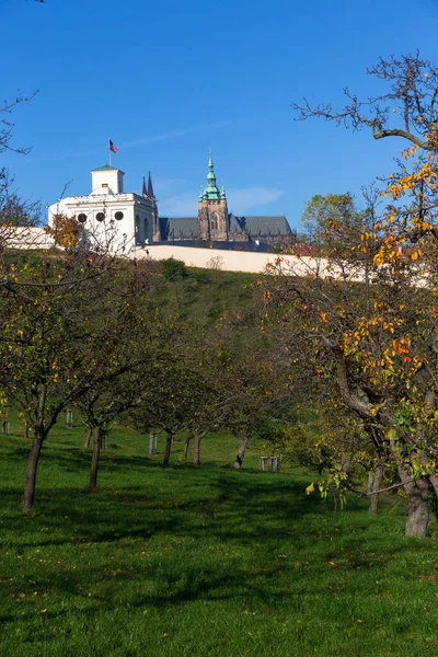 Outono Cidade Praga Com Castelo Gótico Natureza Colorida Com Árvores — Fotografia de Stock