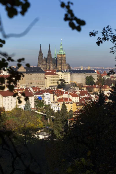 ゴシック様式の城がある秋のプラハ市と チェコ共和国のペトリン丘の木々の色鮮やかな自然 — ストック写真