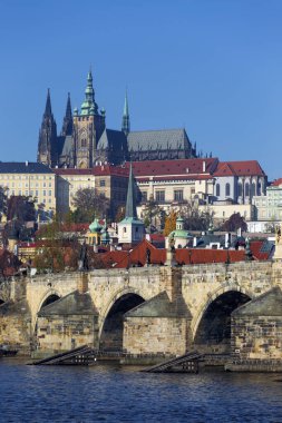 Çek Cumhuriyeti 'nin güneşli bir gününde Vltava Nehri üzerindeki Gotik Şatosu ile Sonbahar Renkli Prag Küçük Kasabası