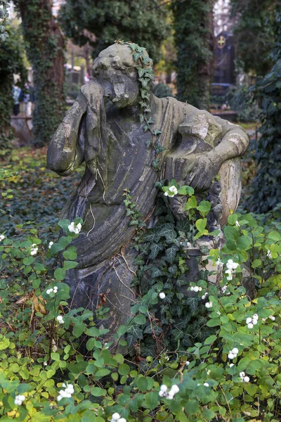 Historisk Staty Höstens Mysterium Gamla Prag Kyrkogård Tjeckien — Stockfoto