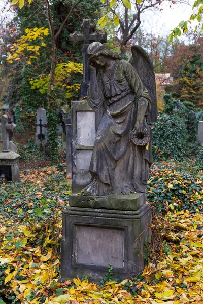 Çek Cumhuriyeti Ndeki Eski Prag Mezarlığı Nın Sonbahar Gizemi Üzerine — Stok fotoğraf