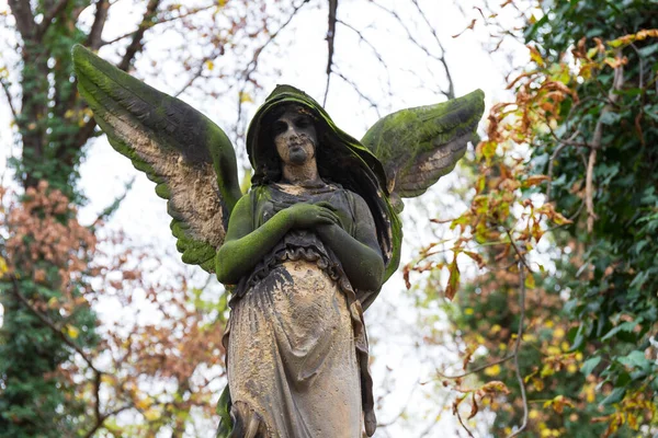 Statue Historique Sur Mystère Automne Ancien Cimetière Prague République Tchèque — Photo