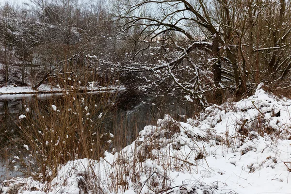 Snowy Landschap Het Centrum Van Bohemen Met Rivier Sazava Tsjechië — Stockfoto