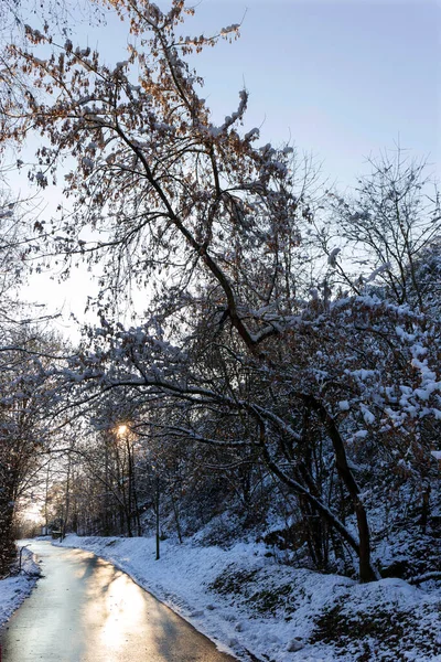 Снежный Ландшафт Центре Чехии Рекой Сазава — стоковое фото