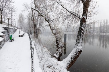 Vltava Nehri etrafındaki Ağaçlarla Karlı Doğa, Holesovice, Çek Cumhuriyeti 'nin en havalı Prag Bölgesi