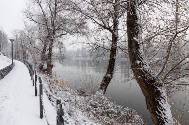 Vltava Nehri etrafındaki Ağaçlarla Karlı Doğa, Holesovice, Çek Cumhuriyeti 'nin en havalı Prag Bölgesi