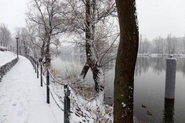 Vltava Nehri etrafındaki Ağaçlarla Karlı Doğa, Holesovice, Çek Cumhuriyeti 'nin en havalı Prag Bölgesi