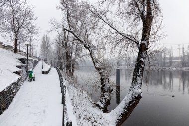 Vltava Nehri etrafındaki Ağaçlarla Karlı Doğa, Holesovice, Çek Cumhuriyeti 'nin en havalı Prag Bölgesi