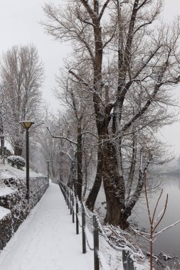 Vltava Nehri etrafındaki Ağaçlarla Karlı Doğa, Holesovice, Çek Cumhuriyeti 'nin en havalı Prag Bölgesi
