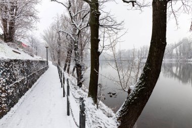 Vltava Nehri etrafındaki Ağaçlarla Karlı Doğa, Holesovice, Çek Cumhuriyeti 'nin en havalı Prag Bölgesi