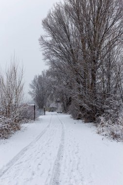 Vltava Nehri üzerindeki karlı kış limanı, Holesovice, Çek Cumhuriyeti 'nin en havalı Prag Bölgesi