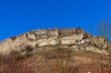 Güneşli bir günde Prokop Vadisi 'nde Doğa, Prag, Çek Cumhuriyeti