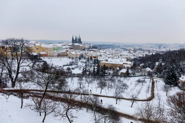 布拉格雪城 哥特式城堡 来自捷克共和国的Hill Petrin — 图库照片