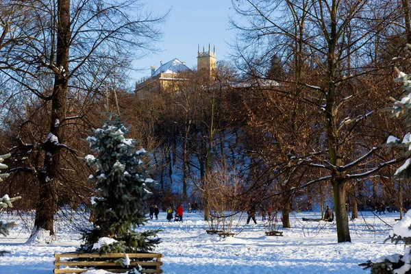 布拉格斯特罗莫夫卡最大的公园 捷克共和国雪冬的皇家树 — 图库照片