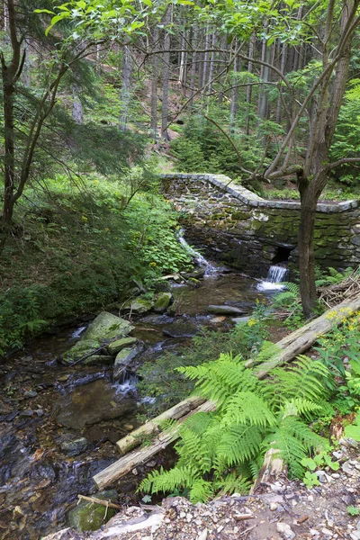 Rent Landskap Bergen Hruby Jesenik Nordöstra Böhmen Tjeckien — Stockfoto