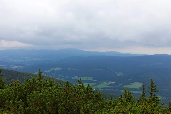 Čistá Krajina Horách Hruby Jeseník Severovýchodních Čechách — Stock fotografie