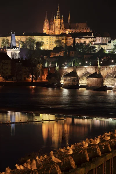 Noite romântica Praga City, República Checa — Fotografia de Stock