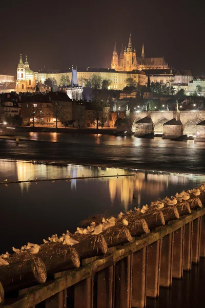 Colorido castillo gótico de Praga sobre el río Moldava con el puente de Carlos en la noche, República Checa — Foto de Stock