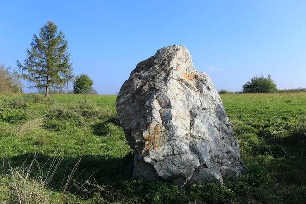 Renkli sonbahar doğa yakınındaki Prag, Çek Cumhuriyeti — Stok fotoğraf