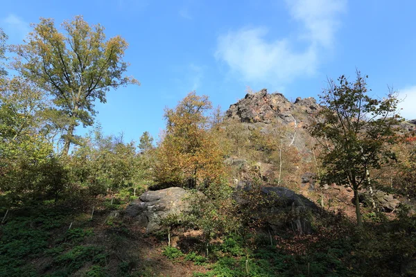 Barevný podzim přírodě nedaleko Prahy, Česká republika — Stock fotografie