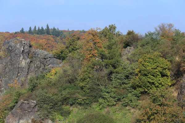 다채로운가 자연 근처 프라하, 체코 공화국 — 스톡 사진