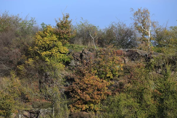 Colorida naturaleza de otoño cerca de Praga, República Checa — Foto de Stock