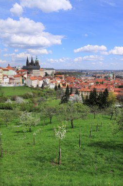 Gotik Castle, yeşil doğa ile Prag Bahar üzerinde görüntülemek ve çiçekli ağaçlar, Çek Cumhuriyeti
