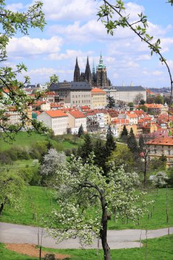 zicht op het voorjaar gotische burcht van Praag met de groene natuur en bloeiende bomen, Tsjechië