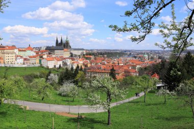 zicht op het voorjaar gotische burcht van Praag met de groene natuur en bloeiende bomen, Tsjechië
