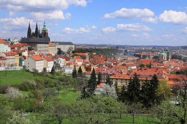 Widok na wiosnę gotycki Zamek Praski z zieleni i kwitnących drzew, Republika Czeska — Zdjęcie stockowe