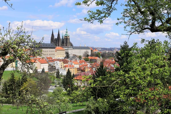 Widok na wiosnę gotycki Zamek Praski z zieleni i kwitnących drzew, Republika Czeska — Zdjęcie stockowe