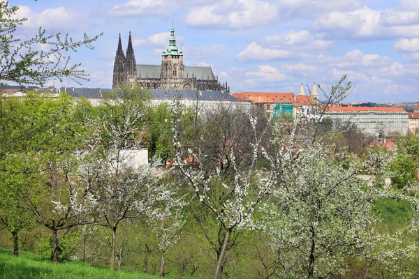Pohled na jaře Praze gotický hrad s zelené přírody a kvetoucích stromů, Česká republika — Stock fotografie