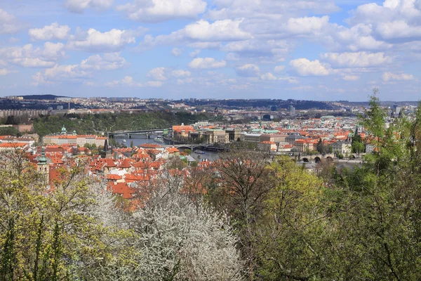 Переглянути на весну Празі готичний замок з зеленим природи і квітучих дерев, Чеська Республіка — стокове фото