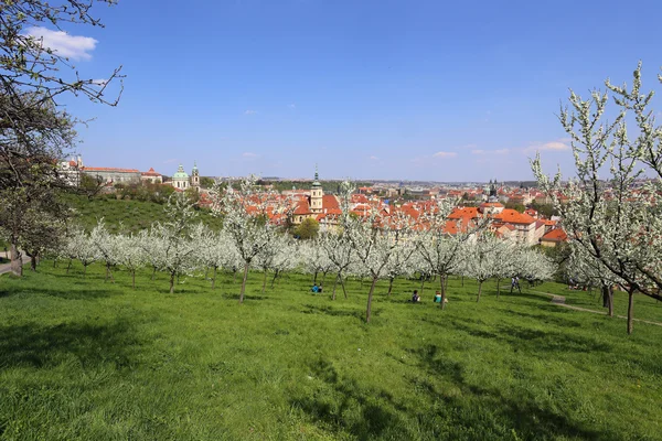 Vista na primavera Praga City, República Checa — Fotografia de Stock