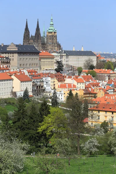 Vista sobre a primavera Castelo gótico de Praga com a natureza verde e árvores floridas, República Checa — Fotografia de Stock