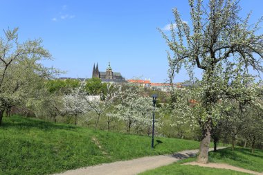 zicht op het voorjaar gotische burcht van Praag met de groene natuur en bloeiende bomen, Tsjechië